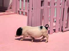 -渔岛海洋度假区