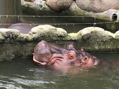 -宁波野生动物园