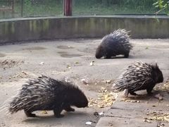 -青藏高原野生动物园