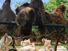 -常州淹城野生动物世界