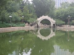 -团结湖公园