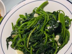 -老乡长(余家头店)