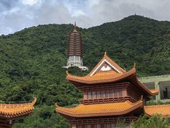 -深圳仙湖植物园