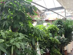 -秦美花卉(天朗·莱茵小城2期店)