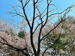 -吉林大学(南岭校区)