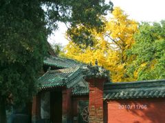 -少林寺景区