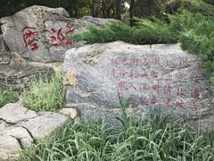 -玲珑塔公园