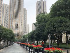 -重庆市江北嘴中央商务区中央公园