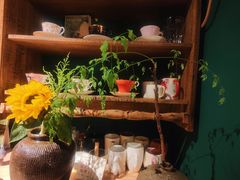 -樹下遇见树·咖啡