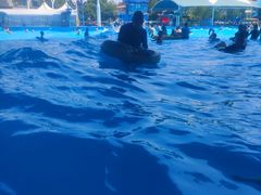 -杭州浪浪浪水公园