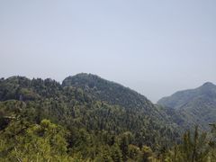 -秦岭天竺山生态文化旅游景区