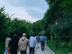 -荆川公园