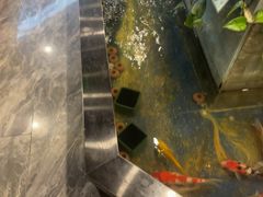 -洞庭家宴·头牌甲鱼(广渠门店)