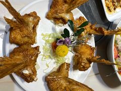 -港升鱼师傅·中山脆肉鲩