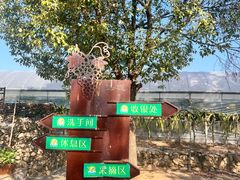 -海堤葡萄园中小学生研学基地