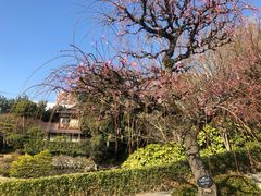 -水前寺成趣园