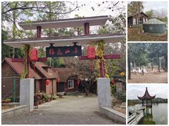 -南京市溧水区傅家边梅花山弄山庄