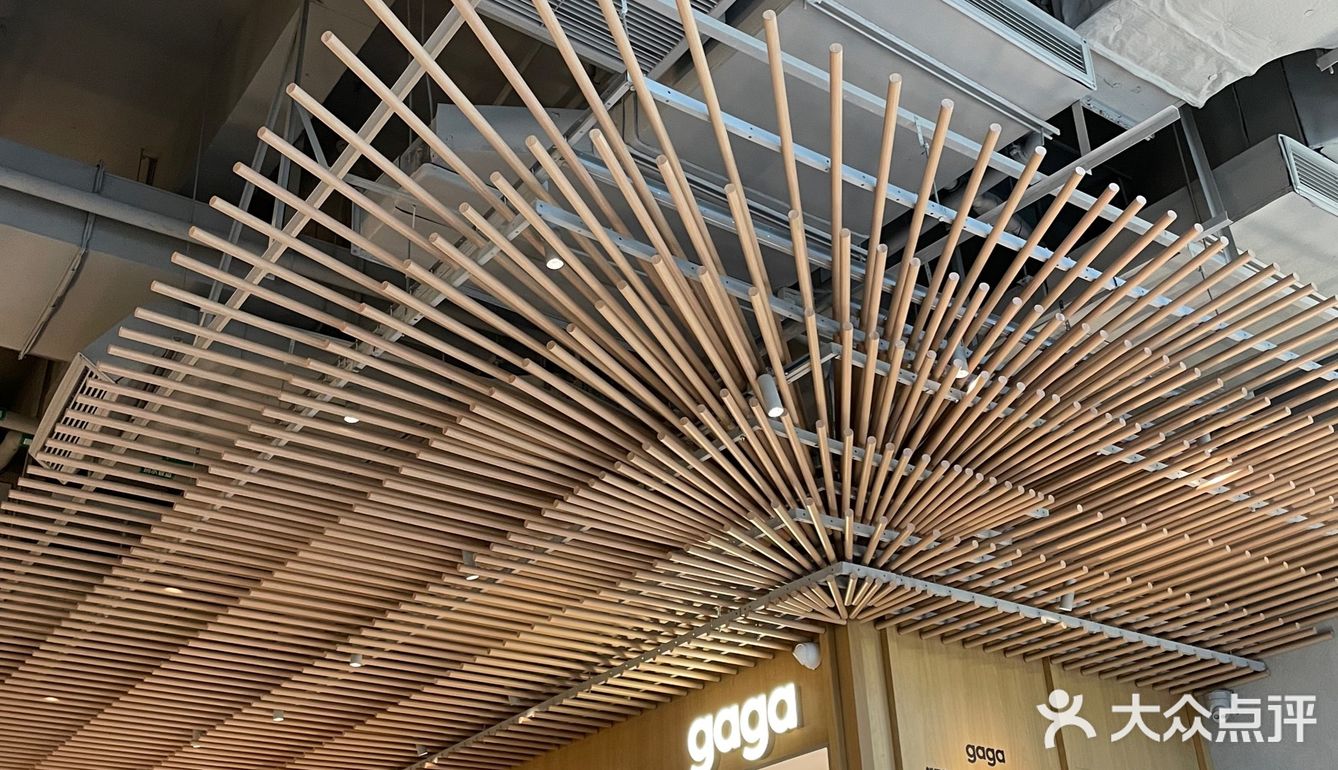 gaga开到南门了