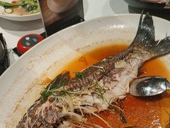 -侨美·唐荔园·40年地道粤菜