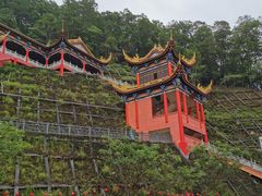 -东莞市大岭山森林公园