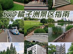 -橘子洲景区