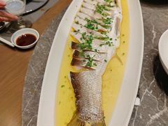 -同庆楼(滨湖万达广场店)