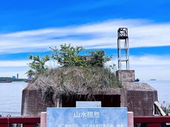 -上海滨江森林公园