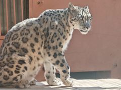 -青藏高原野生动物园