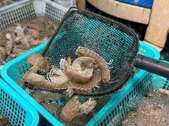 -潮中人·潮州菜(益乐路店)