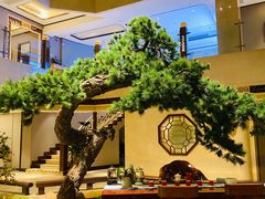 大堂-顺峰(农展馆店)