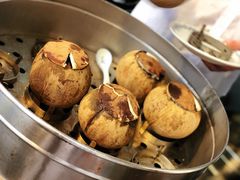 -達揚原味燉品(文明路店)