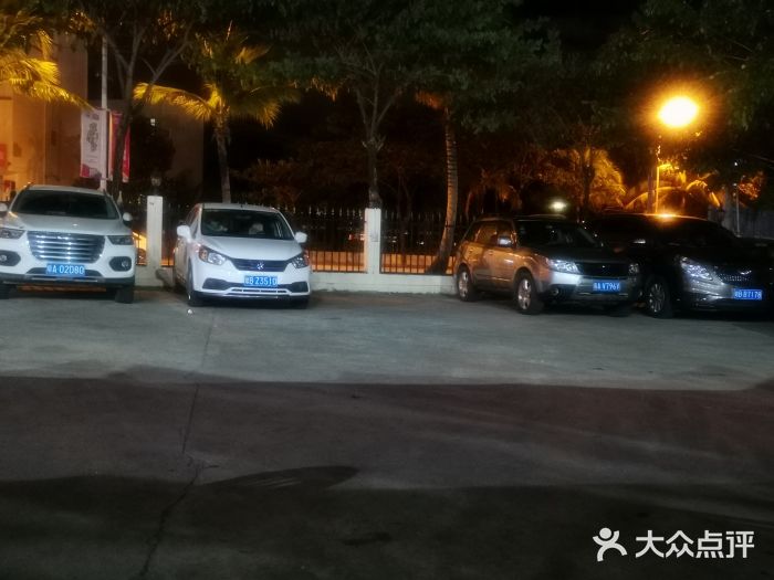霞姐屯昌枫木香草鸭店(海螺店)图片