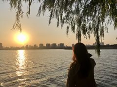 -艾溪湖湿地公园
