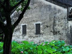 -兰亭风景区