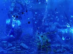 -波塞冬旅游度假区