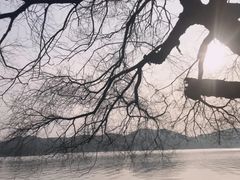 -东湖落雁景区