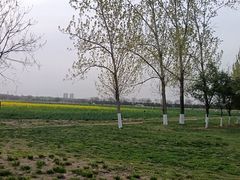 -汉长安城未央宫国家考古遗址公园