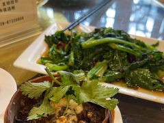 -龙抄手食府(浣花北路店)