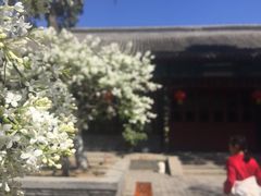 -保定直隶总督署博物馆