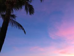 -白沙滩