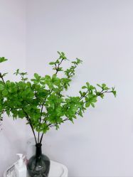 -变美丽半永久纹眉连锁·机器野生眉·洗眉