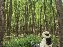 -同里国家湿地公园