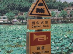 -红山村