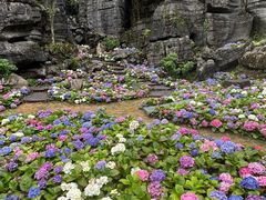 -梭布垭石林景区