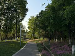 -白鹭湾湿地公园