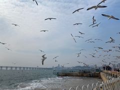 -星海广场