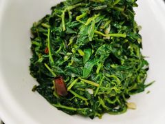 养生枸杞苗-老毛手抓·盐池滩羊非遗手抓(宁夏总店)