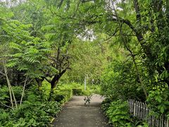 -黑龙江省森林植物园