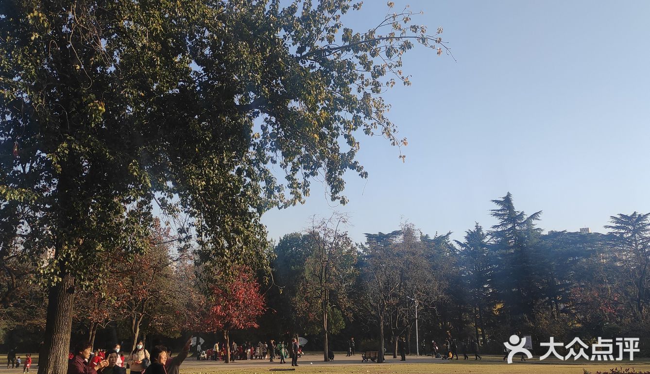 碧沙岗公园