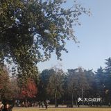 碧沙岗公园